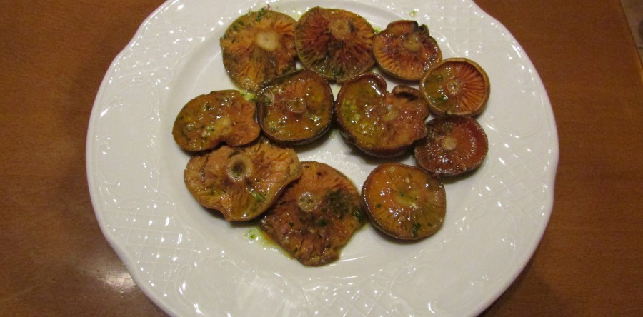 Rovellons a la brasa