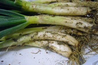 Calçots a la brasa – Menu Calçotada